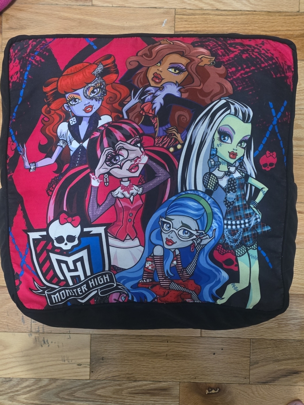Monster High Gen 1 Graphic Pillow